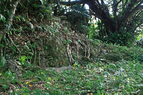 クワギブク嶽(金満の杜) クワギブク嶽(金満の杜)の写真
