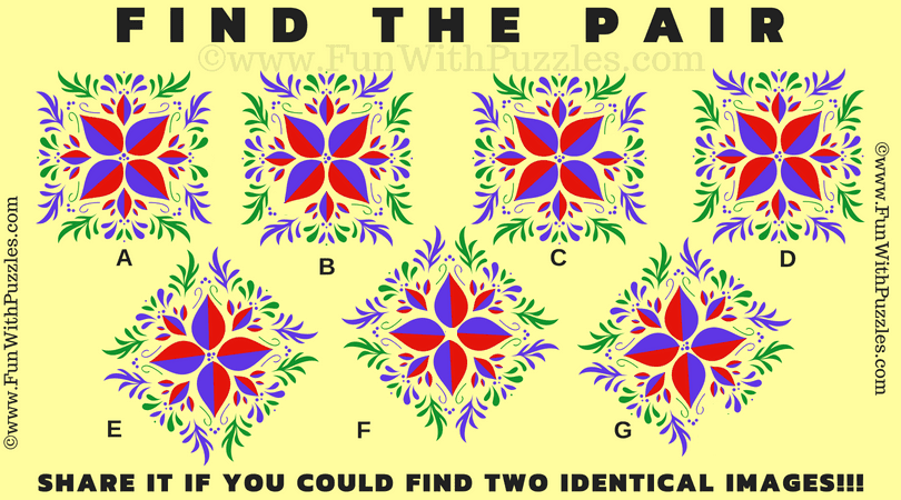 Genius Visual Riddle: Spot the Matching Pairs!