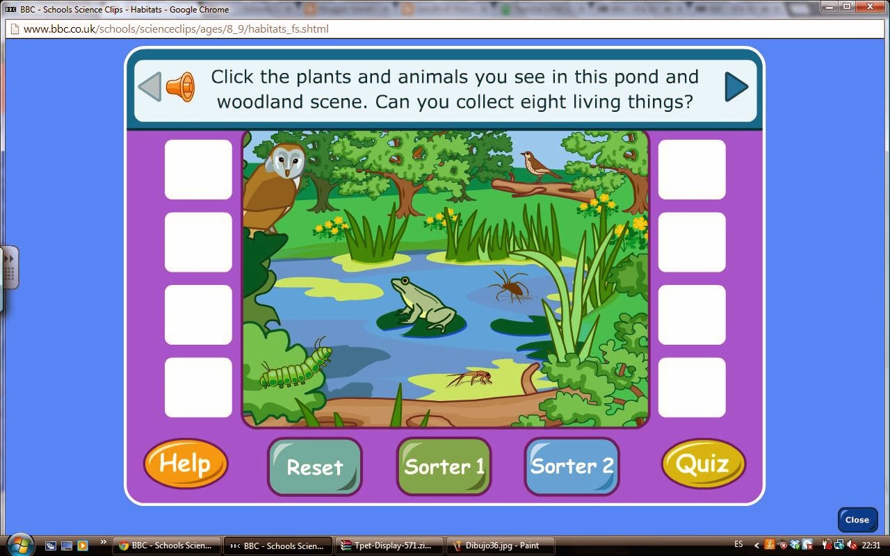 We should animals habitats. Habitat игра. Animal and Habitat game. Игра с животными в школе. Habitats Worksheets.