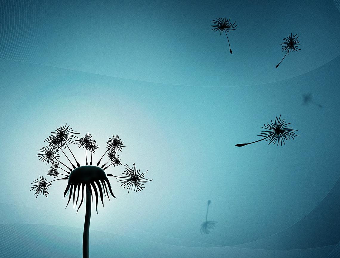 Soltar , una palabra contundente, que suena clara, no da lugar a