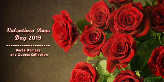 When is Valentines Rose Day 2019 | Valentines Rose Day Quotes | Valentines Rose Day Gift Ideas When is Valentines Rose Day 2019,Valentines Rose Day Quotes, Valentines Rose Day Gift Ideas, Valentines Week 2019
