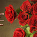 When is Valentines Rose Day 2019 | Valentines Rose Day Quotes | Valentines Rose Day Gift Ideas