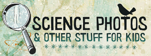 Science Photos and Other Stuff for Kids