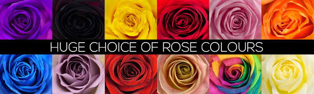 Rose Day Shayari Rose Day Shayari