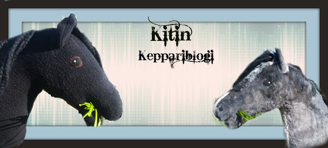 Kitin keppariblogi