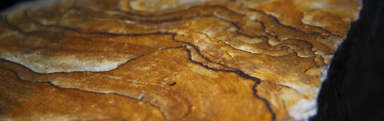 BLEAU Un nouveau guide sur les grès du Massif de ...