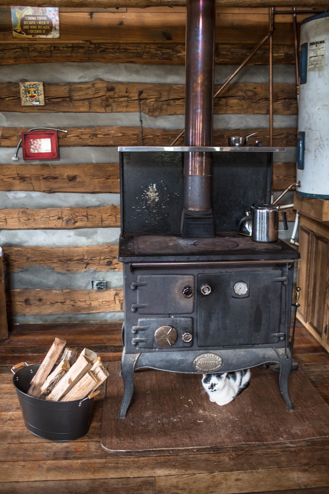 Bucket Outlet Bucket Decorating Ideas