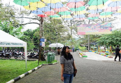 Duyung Trawas Hills - Wahana Outbound Sampai Pecinta Durian