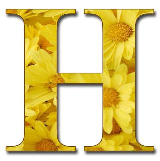 GRANNY ENCHANTED'S BLOG: Free Yellow Floral Alphabet