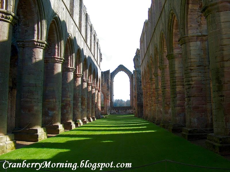 Cranberry Morning Fountains Abbey, North Yorkshire, England