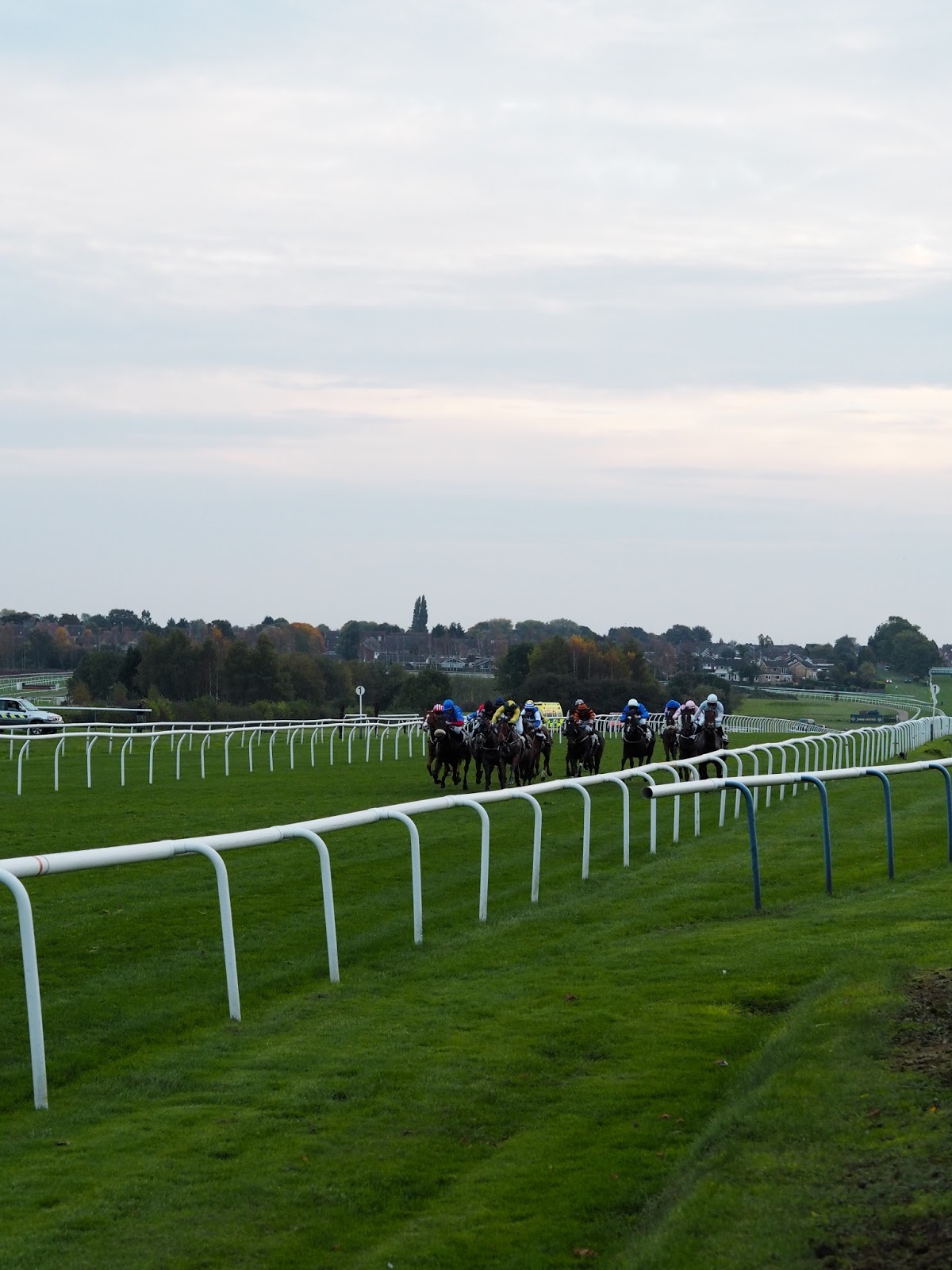 Leicester racecourse review Priceless Life of Mine 