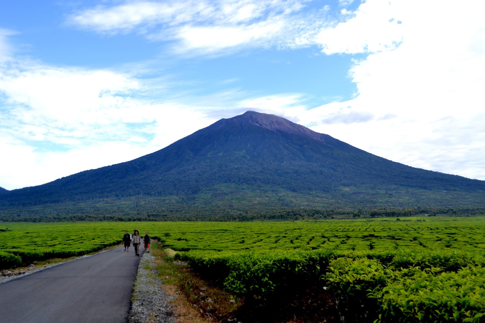 39 Gambar Pemandangan Gunung Di Indonesia Terindah Gambar Pemandangan 39 Gambar Pemandangan Gunung Di Indonesia Terindah Gambar Pemandangan