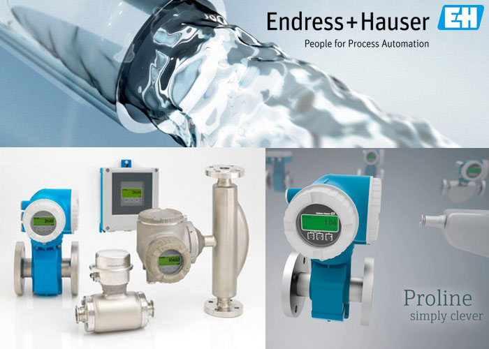 Endress+Hauser Proline Flow Measurement; Beneficial and Other Following Informational Act