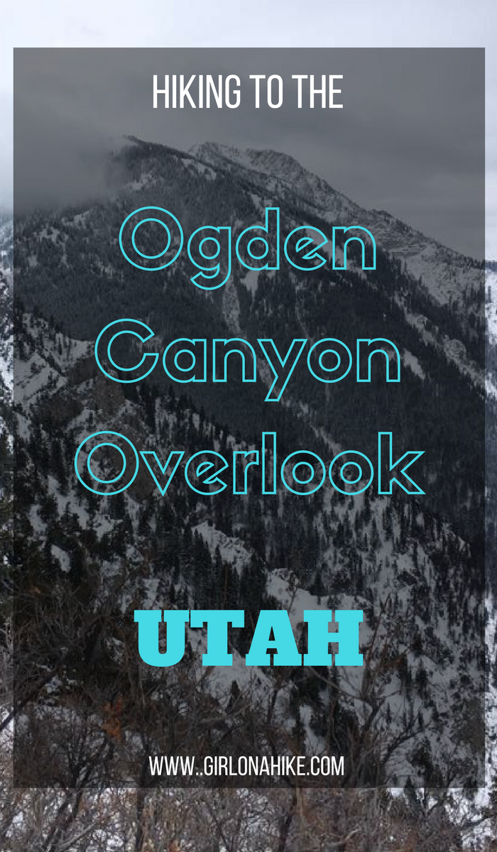 Hiking to the Ogden Canyon Overlook Girl on a Hike