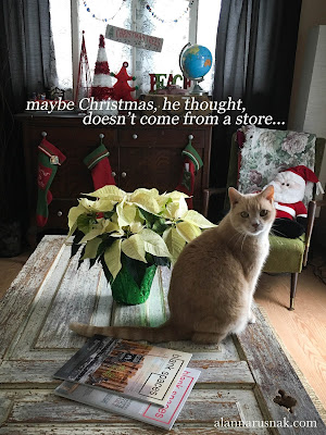 maybe christmas, he thought, doesn't come from a store