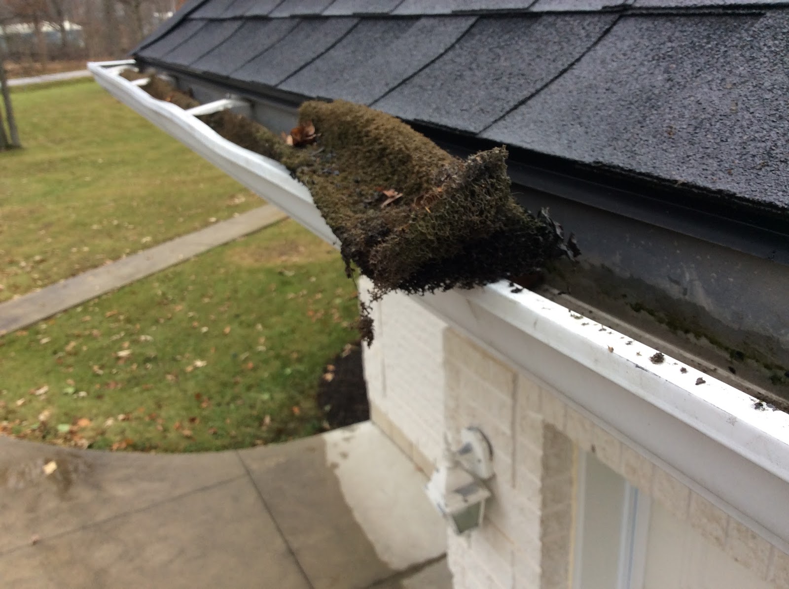 The Eavestrough Company Foam Filter One of the worst gutter