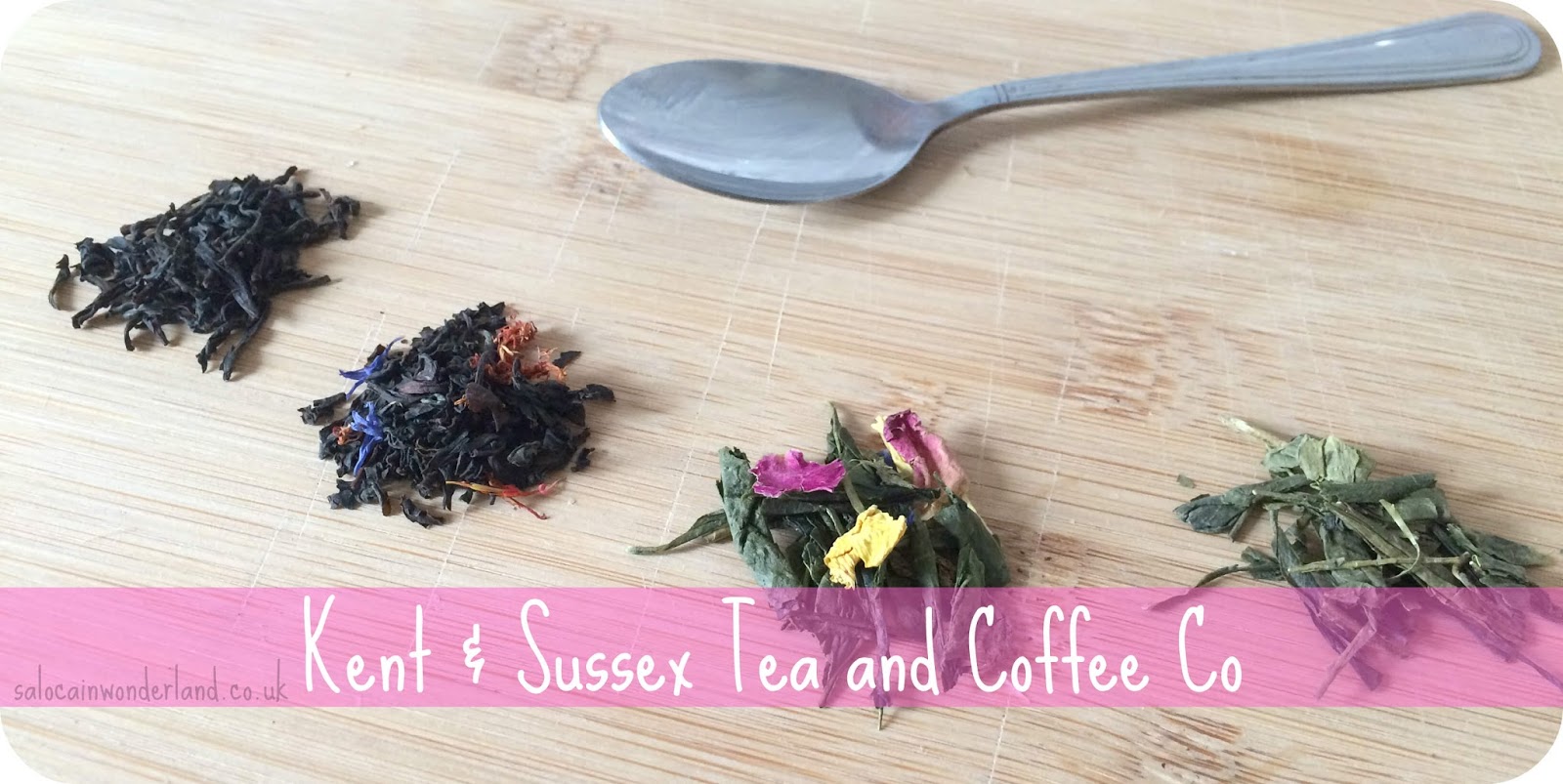 Saloca in Wonderland *Kent & Sussex