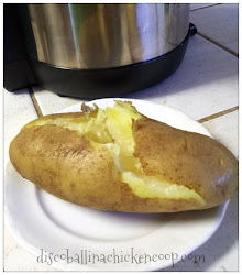 pressure cooker polluted consciousness steam potato minutes bath water