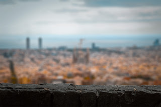 Blur Photo Background Free Stock Photos stock photos, stock images, pexels, high resolution background, backgrounds, free stock photo, stock photography, background stock, high resolution images
