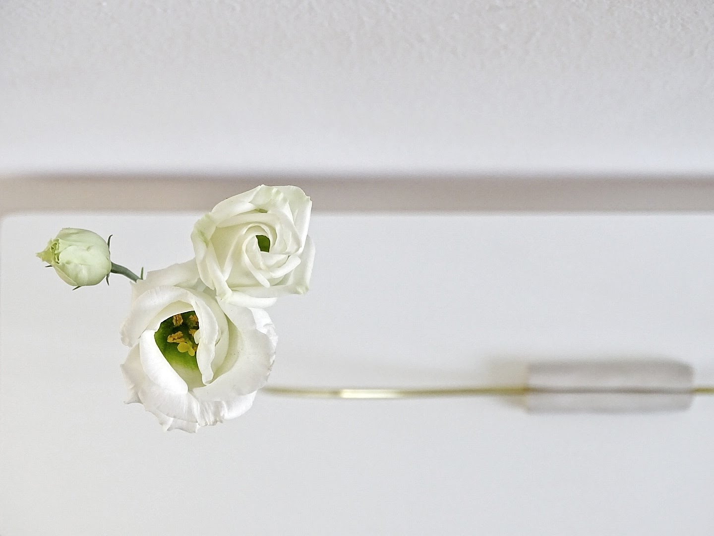 Filigrane DIY-Vase aus Messingrohr | https://mammilade.blogspot.de Filigrane DIY-Vase aus Messingrohr | https://mammilade.blogspot.de