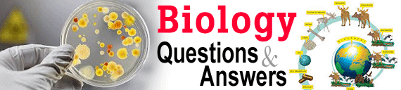 Basic Biology Interview Questions and Answers