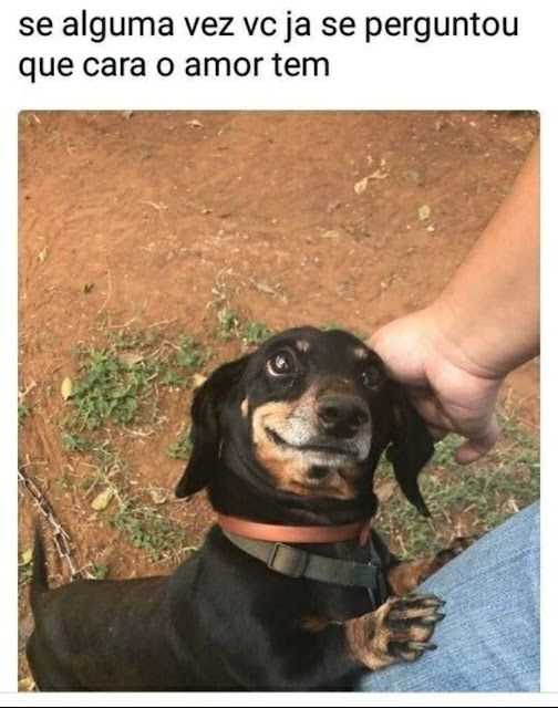memes engraçados memes engraçados