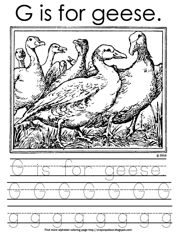"G is for geese" alphabet coloring page | Crayon Palace