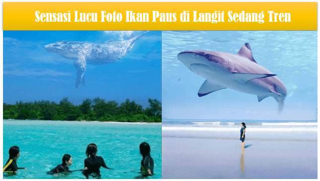 Sensasi Lucu Foto Ikan Paus di Langit Sedang Tren