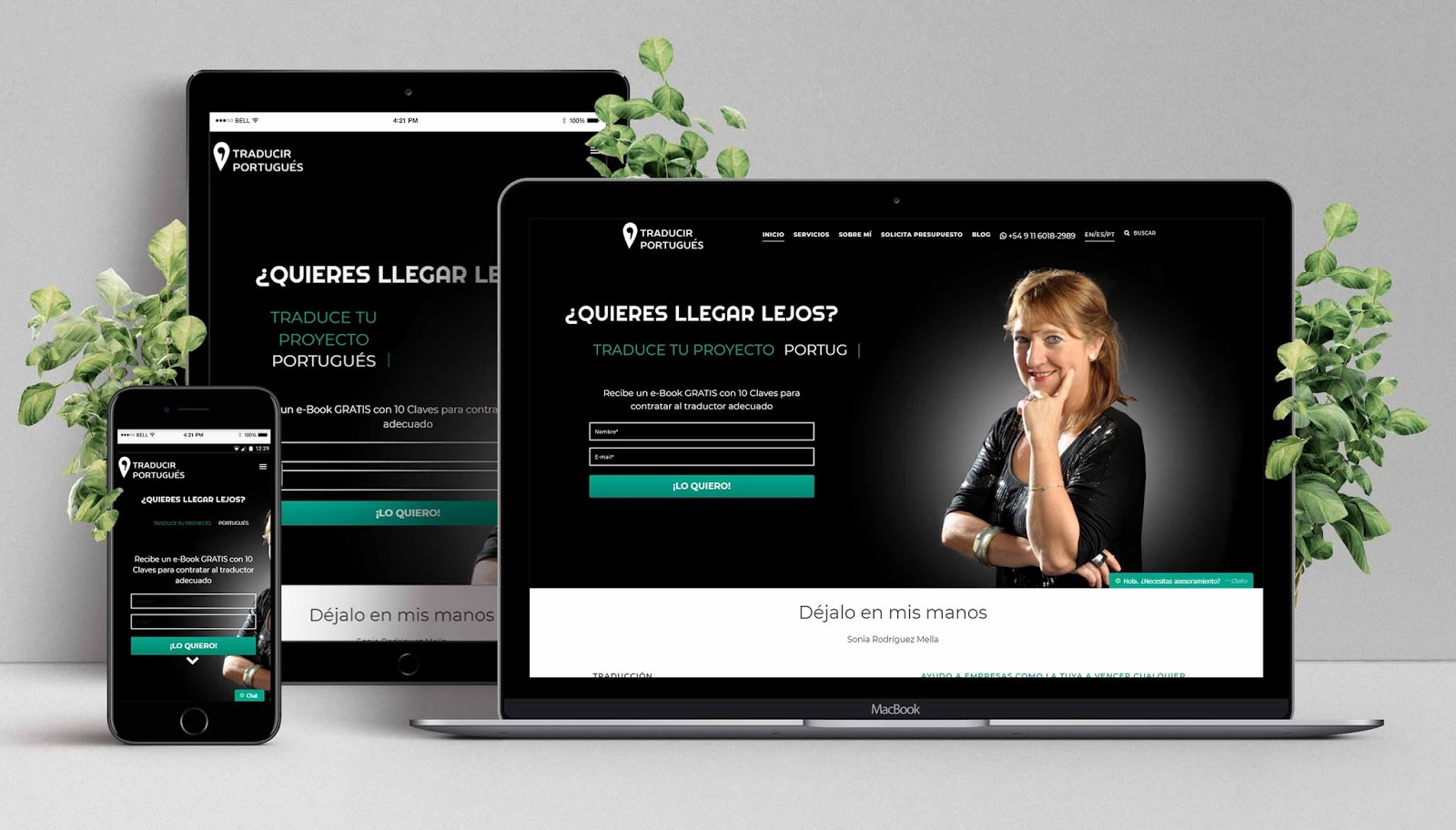 Diseño Web de Traducir Portugués