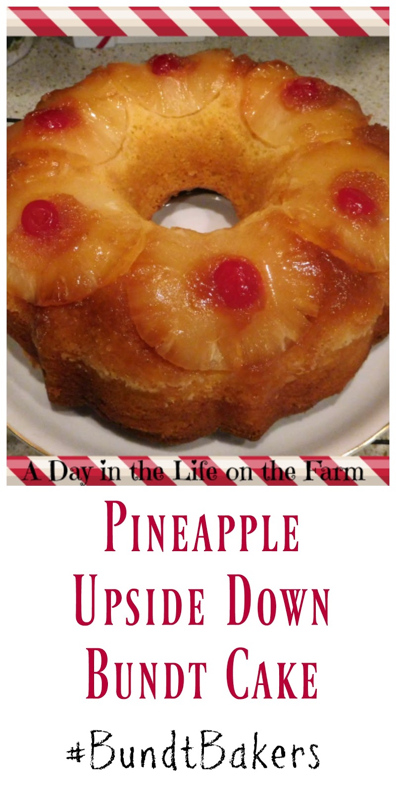 Can Olive Oil Be Used For Pineapple Upside Down Cake Can Olive Oil Be Used For Pineapple Upside Down Cake