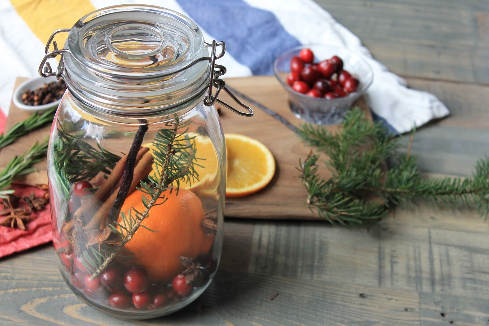 Easy to Make Cinnamon Citrus Holiday Air Freshener Simmer Pot