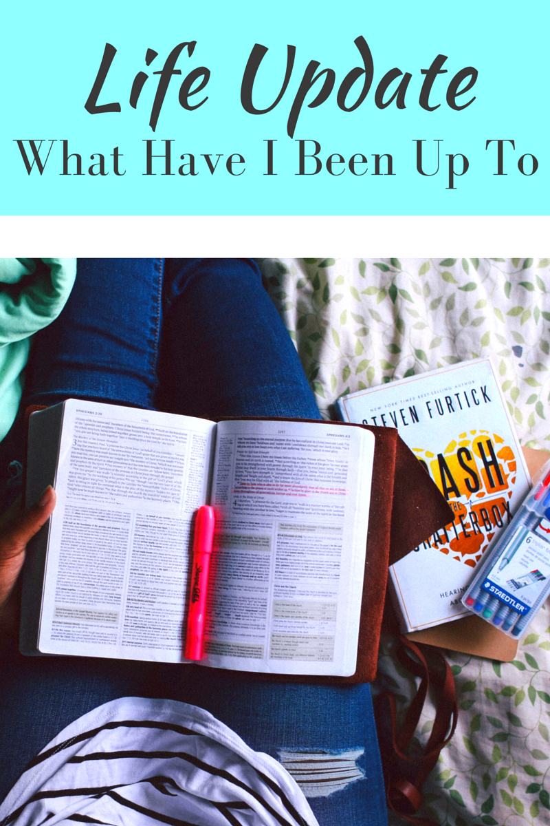 Le Northern Belle | What Have I Been Up To?