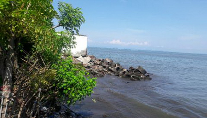 Abrasi, Puluhan Rumah Nelayan Jembrana Terancam Hanyut