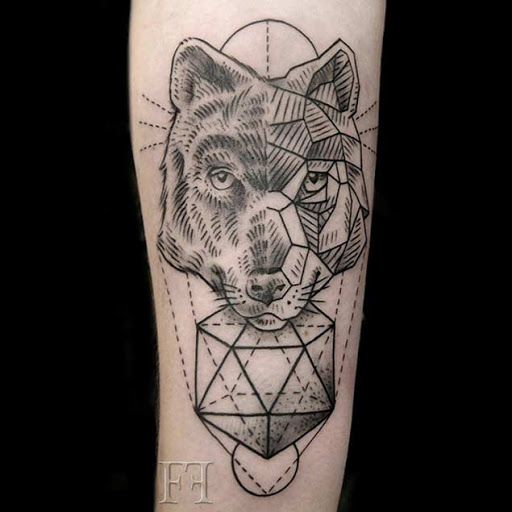 Este dois com cara de lobo Este dois com cara de lobo