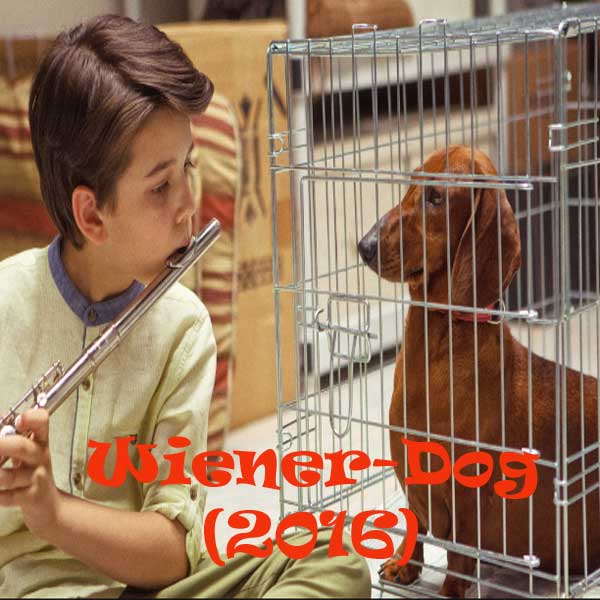 Wiener Dog Film Wiener Dog Film