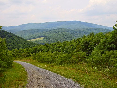 blue knob mountain