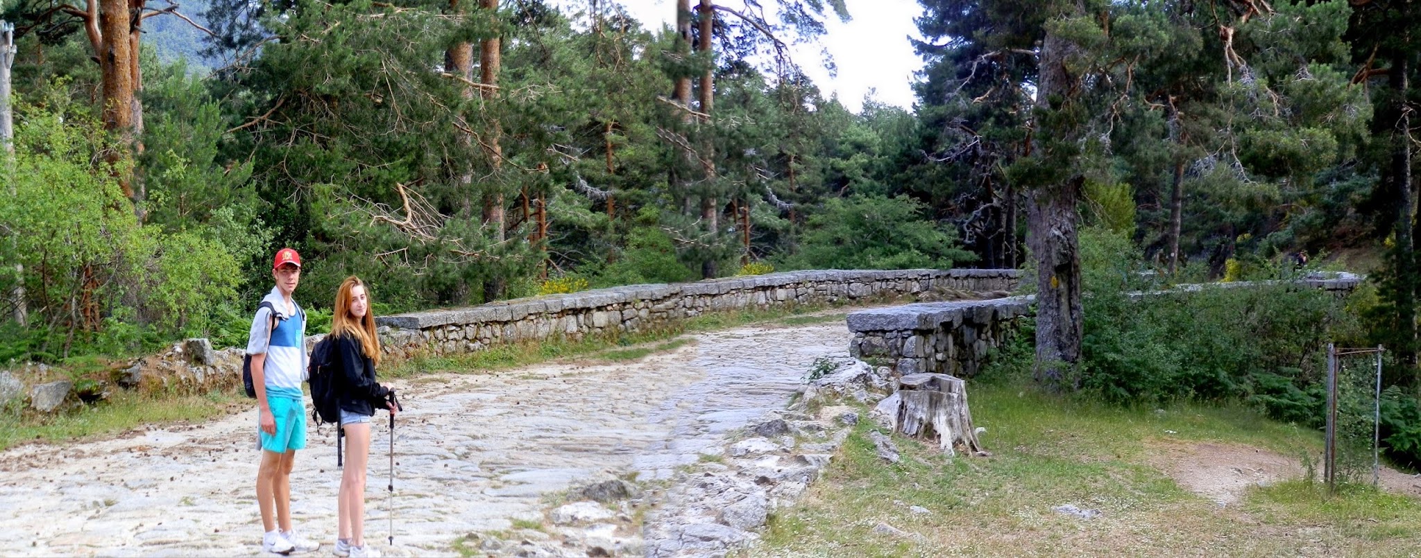 Las Dehesas de Cercedilla