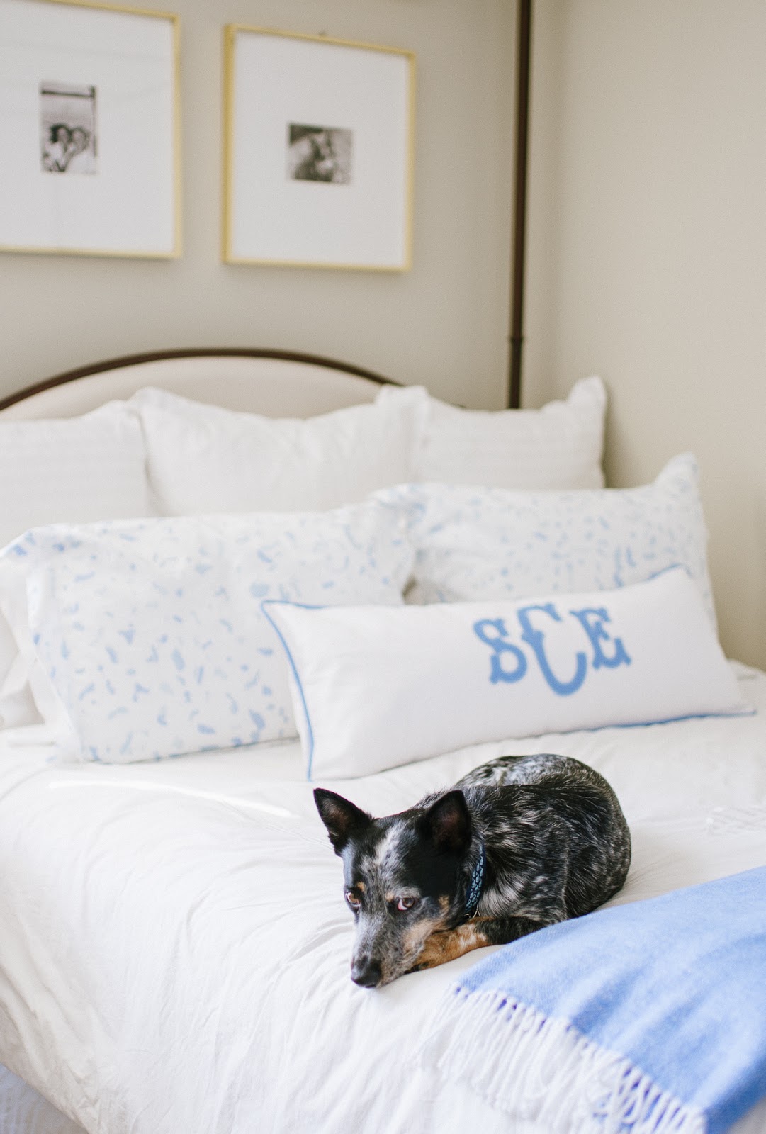 Summer Wind My Cornflower Blue Bedroom