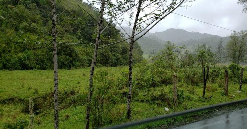SENAMHI ALERTA: La Selva soportará lluvia de moderada a fuerte intensidad - www.senamhi.gob.pe SENAMHI ALERTA: La Selva soportará lluvia de moderada a fuerte intensidad - www.senamhi.gob.pe