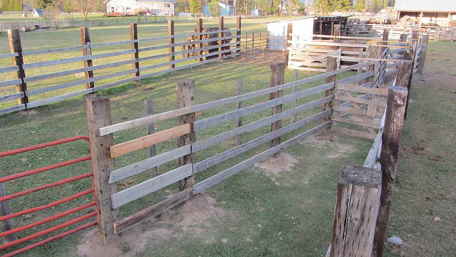 Life among the Tall Pines: Loading corral fence done