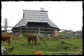 Casas de Zeleni Rob