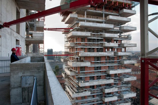 construccion de edificio de arboles 