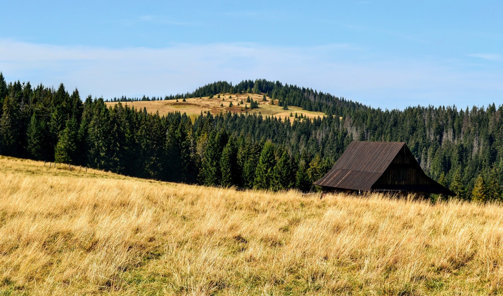 Pusto W Gorcach Jest Jesienia My Way To Heaven: Gorczańska jesień - Turbacz i Hala Długa