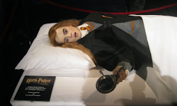 harry potter props hermione granger chamber secrets celebration prop talk celebrates magic