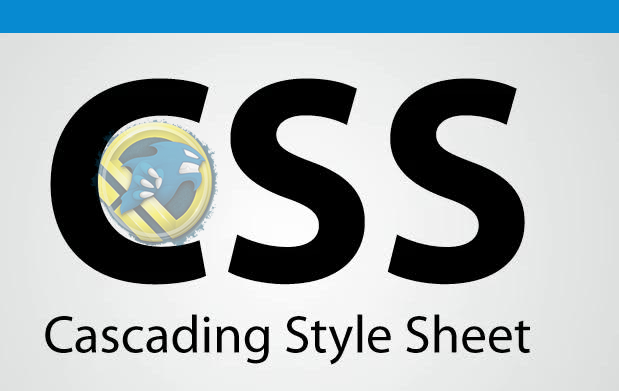 CSS Nedir