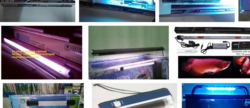 Harga Lampu Uv Aquarium Untuk Sekarang Ini Infoikan Com