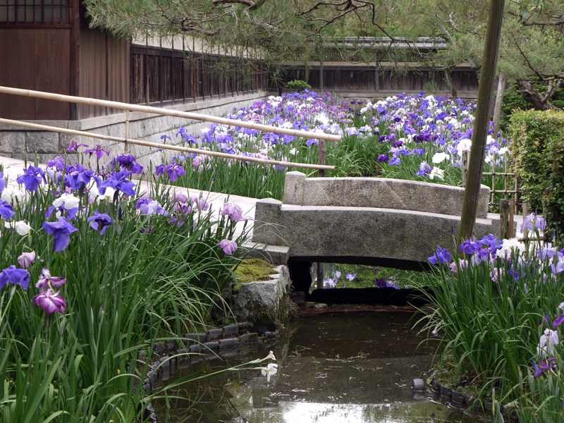 はりねずみ君の独り言 野村碧雲荘