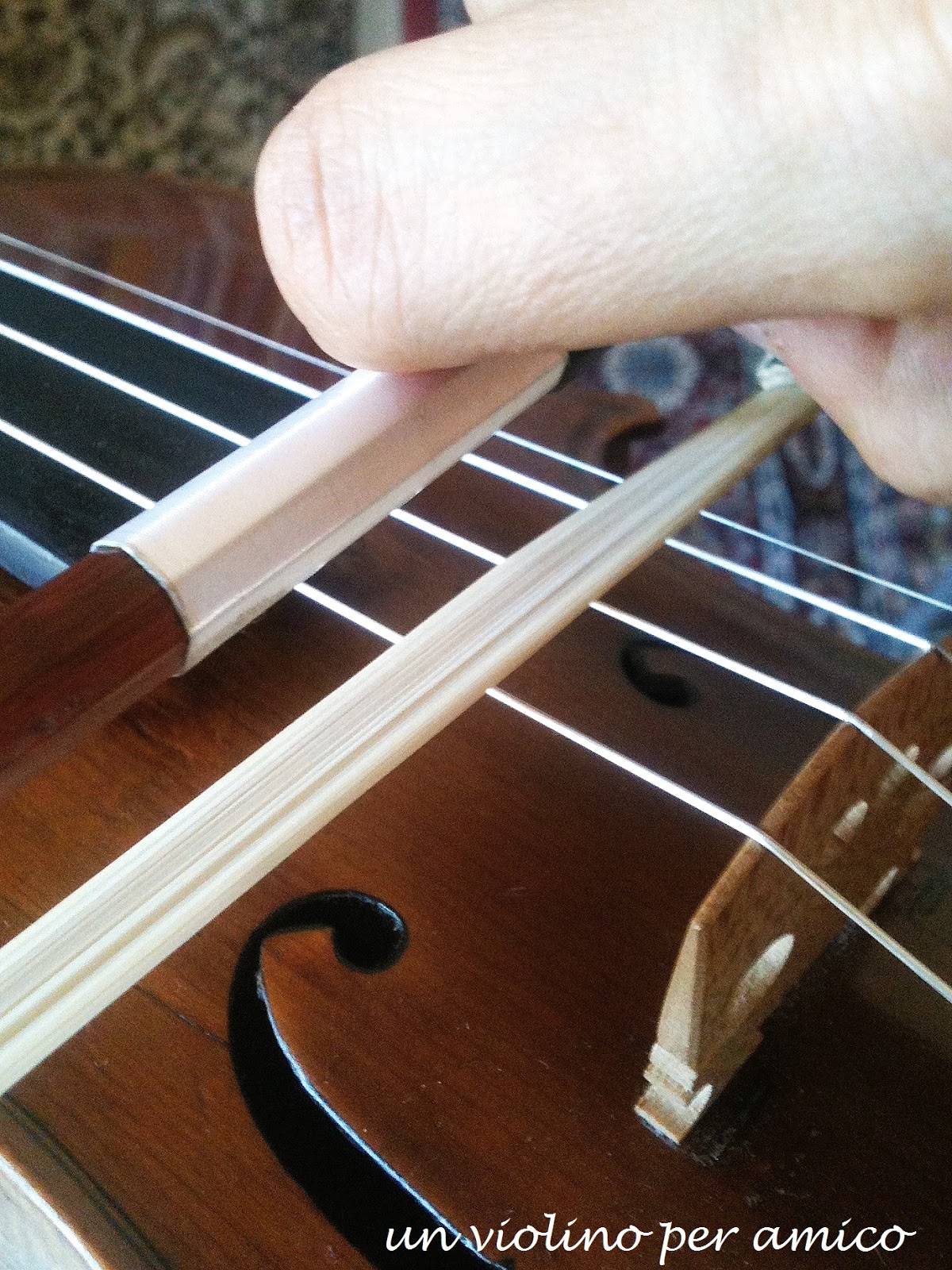 Un violino per amico E ORA SI SUONA!