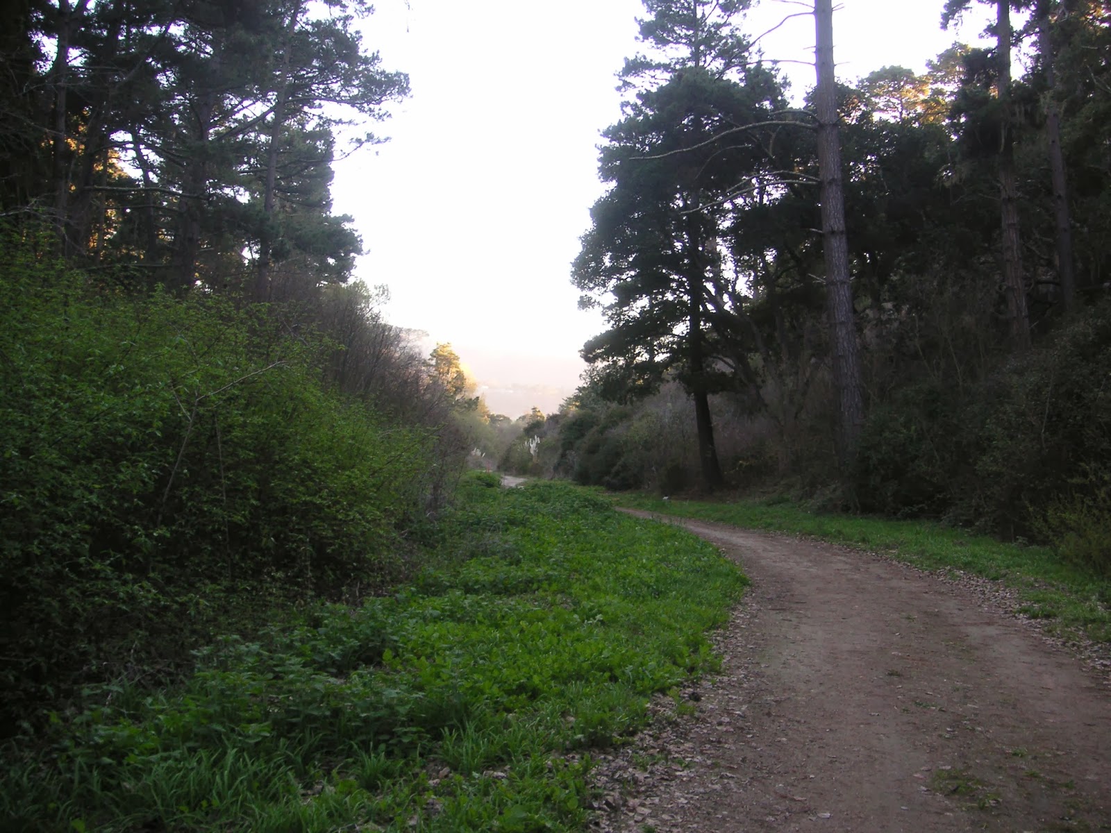 Nature ID habitat 02/21/14 Hatton Canyon State Property
