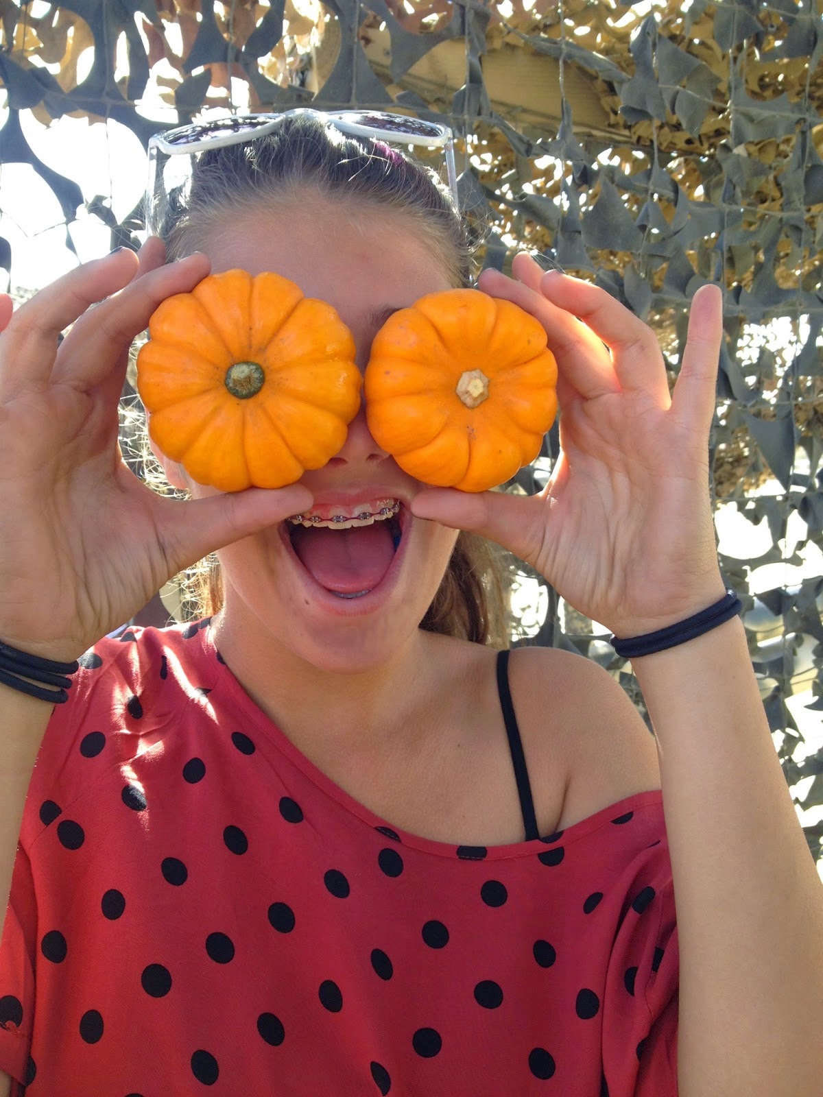 THE pepper EXPRESS 2014 My Year in Review